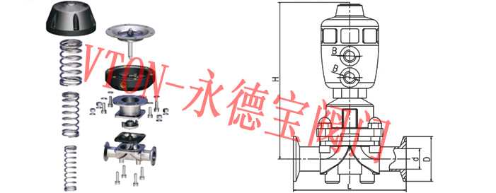 進(jìn)口衛(wèi)生級(jí)氣動(dòng)隔膜閥